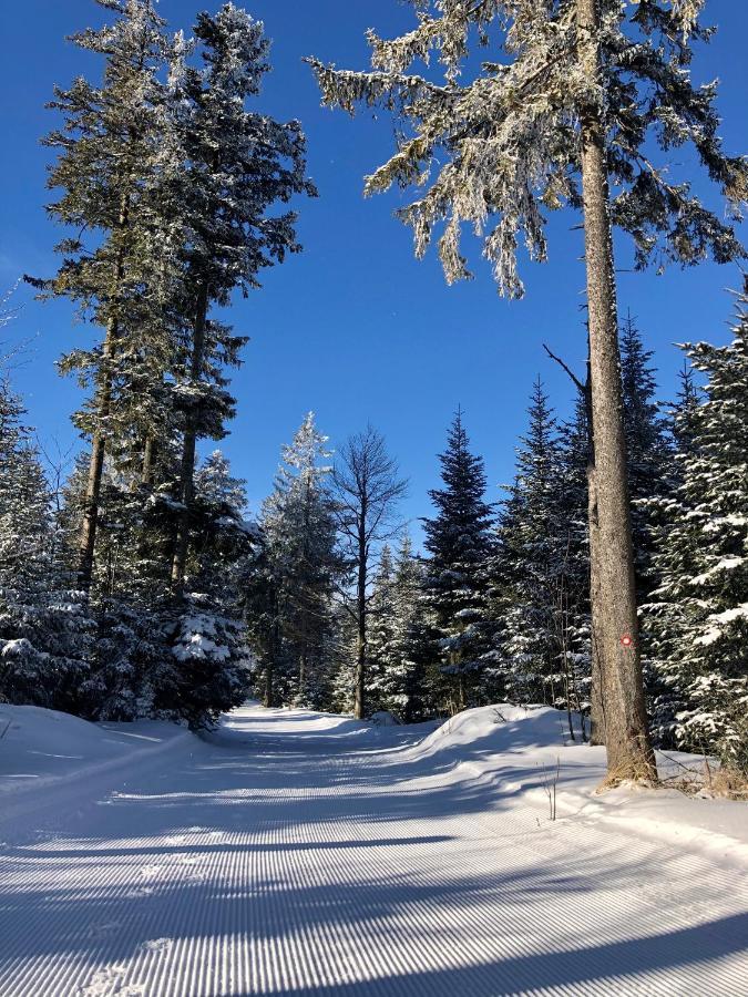 Chalet Anra Pohorje Zgornje Hoce Exterior foto