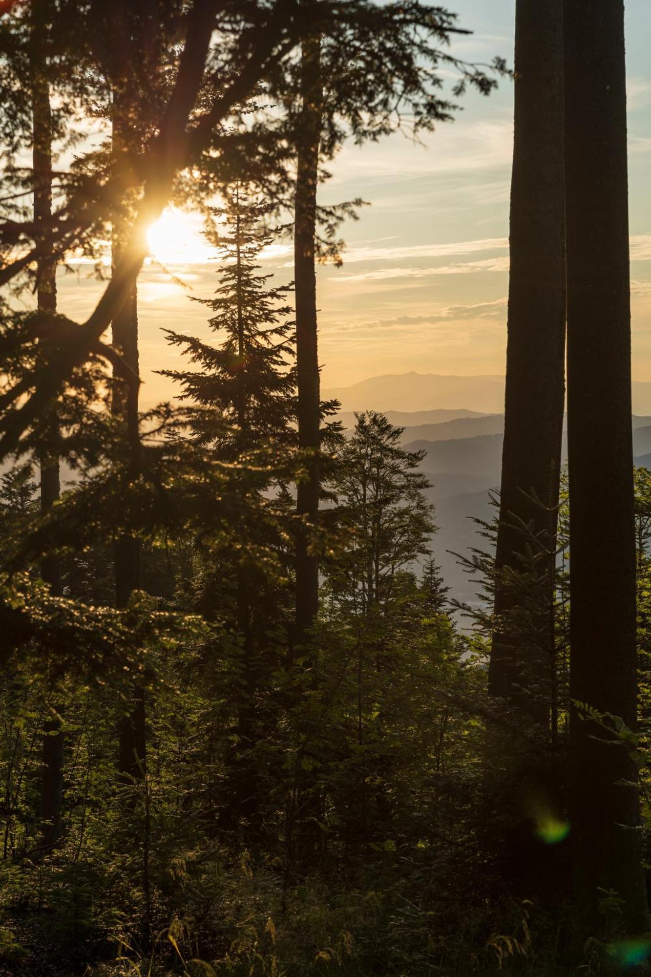 Chalet Anra Pohorje Zgornje Hoce Exterior foto